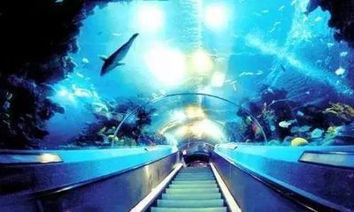 開水族館需要辦什么證件嗎：開設水族館需要辦理一系列的證件以確保合法經營
