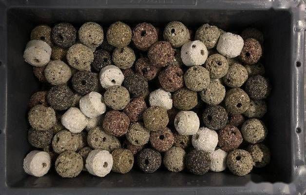 魚缸水發白用硝化細菌可以嗎有毒嗎,如何快速建立硝化細菌群落魚缸水質檢測的最佳方法 魚缸百科 第1張 魚缸水發白用硝化細菌可以嗎有毒嗎,如何快速建立硝化細菌群落魚缸水質檢測的最佳方法 魚缸水發白用硝化細菌可以嗎有毒嗎,如何快速建立硝化細菌群落魚缸水質檢測的最佳方法 魚缸百科 第1張