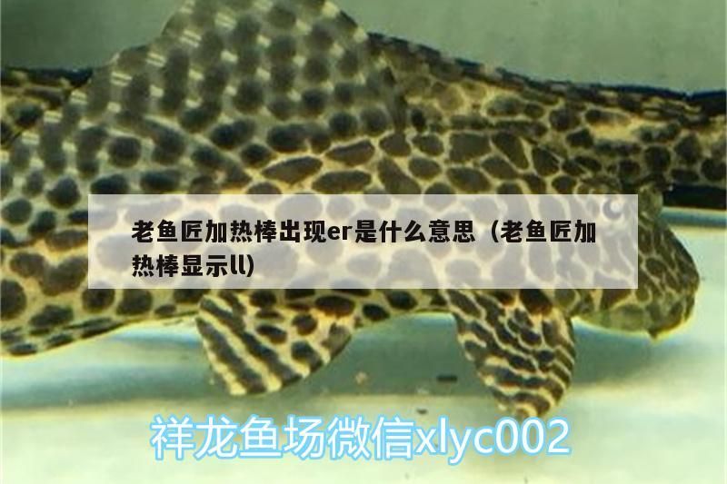 老魚匠加熱棒出現er是什么意思（老魚匠加熱棒顯示ll）