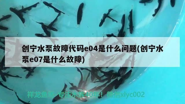 創寧水泵故障代碼e04是什么問題(創寧水泵e07是什么故障)