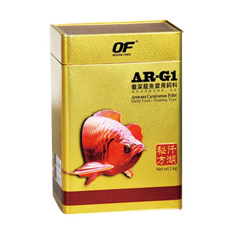 屬蛇人佩戴魚化龍飾品好嗎？解析其風水寓意與佩戴禁忌，屬蛇人佩戴魚化龍飾品的風水寓意與禁忌解析