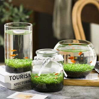 diy魚缸擺件：diy魚缸擺件推薦