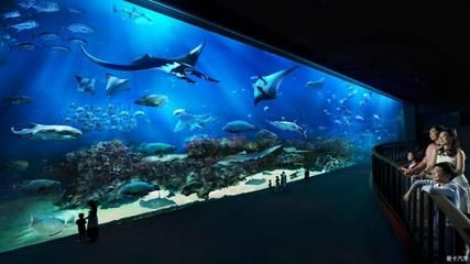 世界最大的水族館在哪個國家？（世界上最大的水族館是喬治亞水族館，是世界上最大的水族館） 世界最大的水族館在哪個國家？（世界上最大的水族館是喬治亞水族館，是世界上最大的水族館） 水族館百科（水族館加盟） 第1張