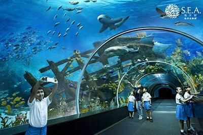 世界最大的水族館在哪個國家？（世界上最大的水族館是喬治亞水族館，是世界上最大的水族館） 世界最大的水族館在哪個國家？（世界上最大的水族館是喬治亞水族館，是世界上最大的水族館） 水族館百科（水族館加盟） 第3張