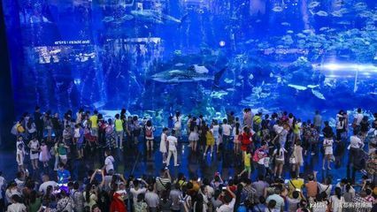 世界最大的水族館在哪個國家？（世界上最大的水族館是喬治亞水族館，是世界上最大的水族館） 世界最大的水族館在哪個國家？（世界上最大的水族館是喬治亞水族館，是世界上最大的水族館） 水族館百科（水族館加盟） 第2張