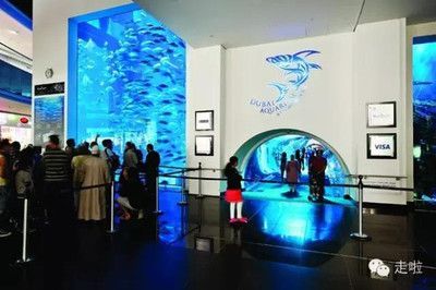 世界最大的水族館在哪個國家？（世界上最大的水族館是喬治亞水族館，是世界上最大的水族館） 世界最大的水族館在哪個國家？（世界上最大的水族館是喬治亞水族館，是世界上最大的水族館） 水族館百科（水族館加盟） 第5張