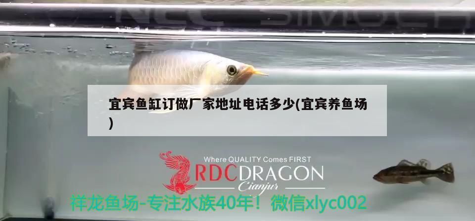 宜賓魚缸訂做廠家地址電話多少(宜賓養魚場)