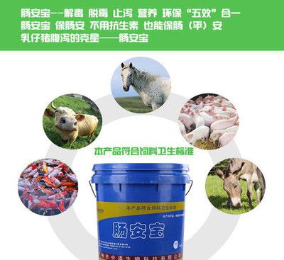 屬龍人創業指南，最適合你的發財生意與成功秘訣，屬龍人創業寶典，2024年最旺財運的生意選擇與逆襲秘訣