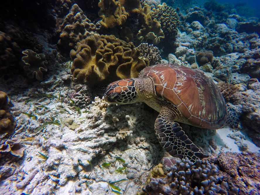 廣州市荔灣區富麗水族市場碧玉水族店 廣州市荔灣區富麗水族市場碧玉水族店 全國水族館企業名錄 第2張