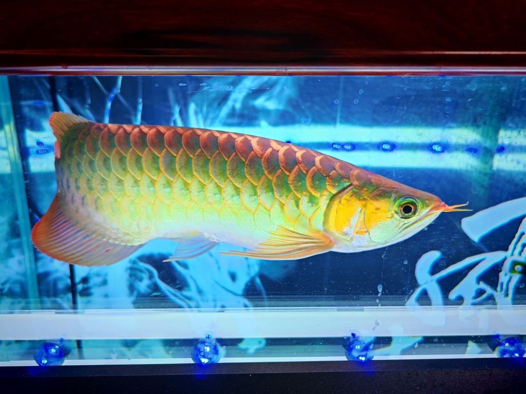 變化了變化了
