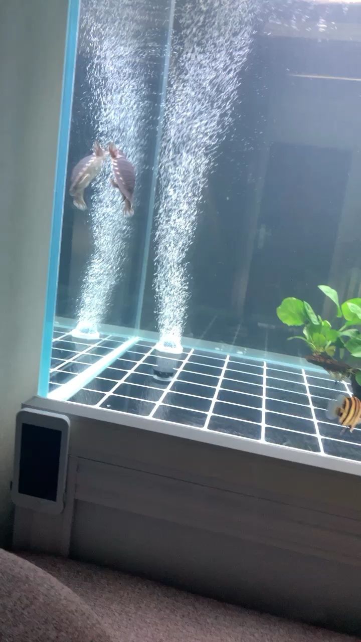 森森增氧泵售后電話