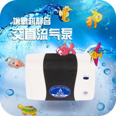 5條小魚養在大魚缸里需要加氧嗎：26篇魚缸加氧大魚缸養在大魚缸里需要加氧嗎 5條小魚養在大魚缸里需要加氧嗎：26篇魚缸加氧大魚缸養在大魚缸里需要加氧嗎 魚缸百科 第1張