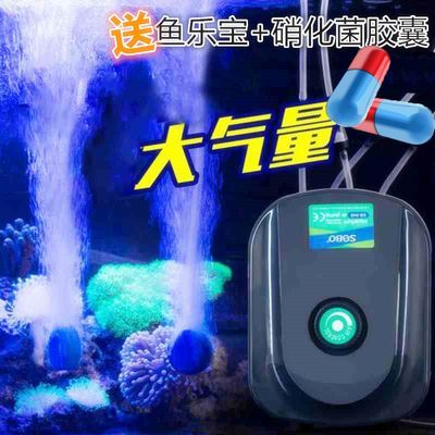 5條小魚養在大魚缸里需要加氧嗎：26篇魚缸加氧大魚缸養在大魚缸里需要加氧嗎 5條小魚養在大魚缸里需要加氧嗎：26篇魚缸加氧大魚缸養在大魚缸里需要加氧嗎 魚缸百科 第4張