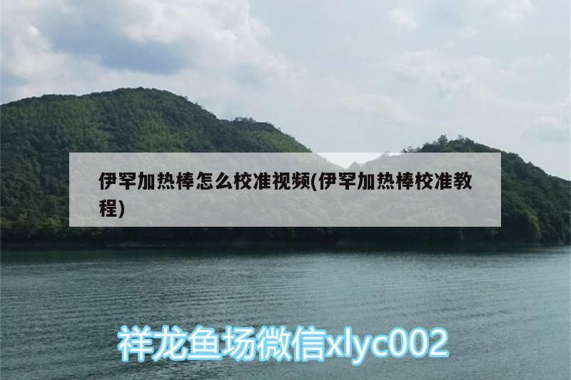 伊罕加熱棒怎么校準視頻(伊罕加熱棒校準教程)