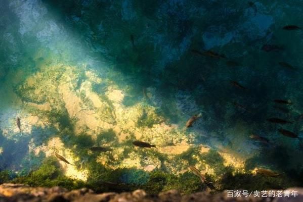 屬龍女佩戴玉龍觀音好不好？解析玉龍觀音的寓意與佩戴講究，屬龍女佩戴玉龍觀音的寓意與講究解析