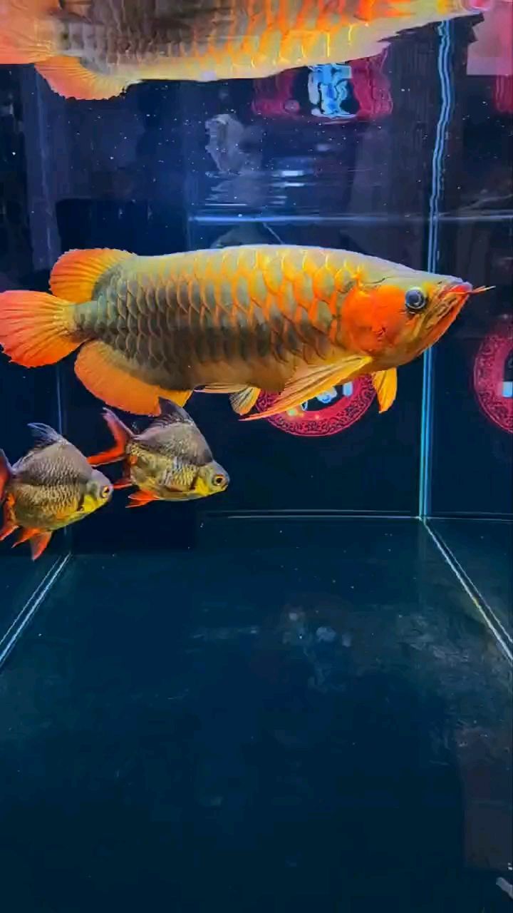 霸氣側漏