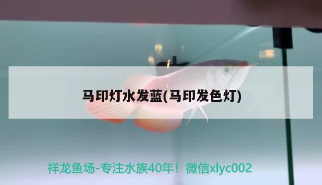 馬印燈水發(fā)藍(馬印發(fā)色燈)