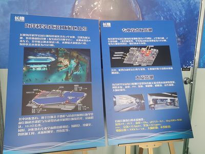 水族館怎么建的：水族館建設需要考慮多種因素和吸引游客并教育水族館建設