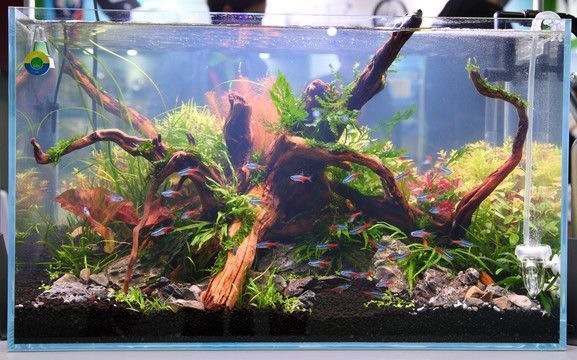 六安魚缸上門維修師傅電話（六安魚缸上門維修師傅電話號碼）