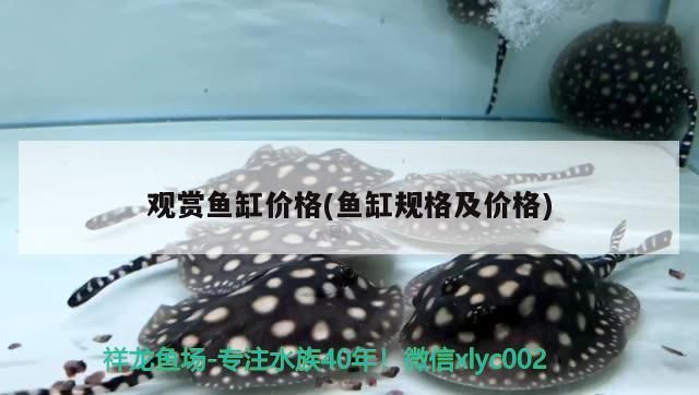 魚缸里放浮萍還用打氧嗎(魚缸里放浮萍魚都死了)