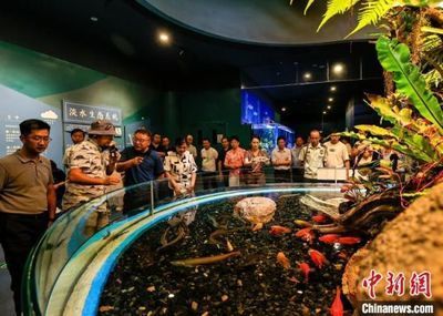 水族館的優(yōu)勢：水族館在教育、娛樂、商業(yè)、科技和保護(hù)等多個領(lǐng)域都展現(xiàn)出顯著的優(yōu)勢