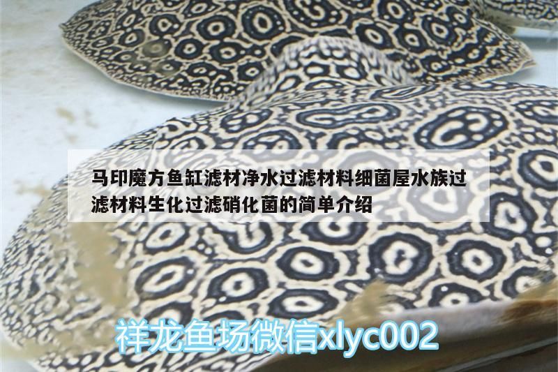 馬印魔方魚缸濾材凈水過濾材料細菌屋水族過濾材料生化過濾硝化菌的簡單介紹