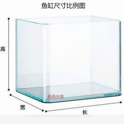 2米長1米寬魚缸用多厚玻璃合適：如何選擇魚缸玻璃厚度