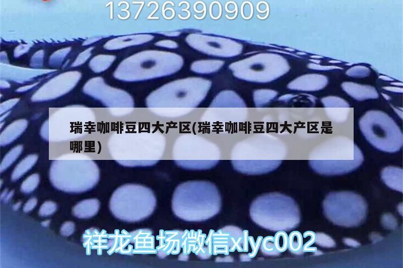 瑞幸咖啡豆四大產區(瑞幸咖啡豆四大產區是哪里)
