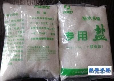 觀賞魚鹽的用量（觀賞魚水質管理了解如何正確管理觀賞魚的水質是養魚愛好者的基本技能） 觀賞魚鹽的用量（觀賞魚水質管理了解如何正確管理觀賞魚的水質是養魚愛好者的基本技能） 九鼎魚缸 第4張