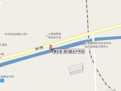 上海觀賞魚批發市場，上海觀賞魚批發市場的發展