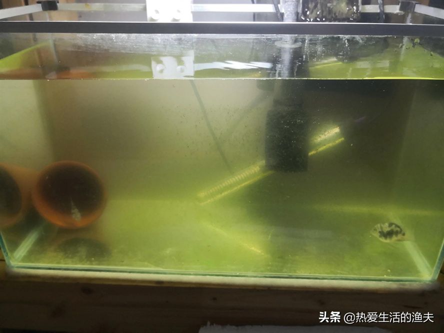 創寧水泵和森森水泵哪個好（創寧水泵和森森水泵哪個好些）