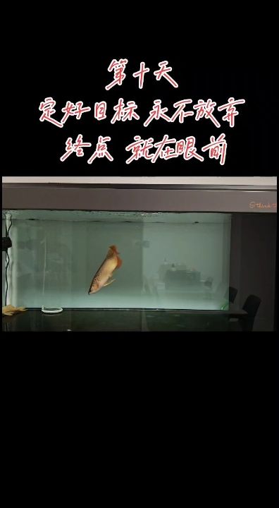堅毅不屈 必成材