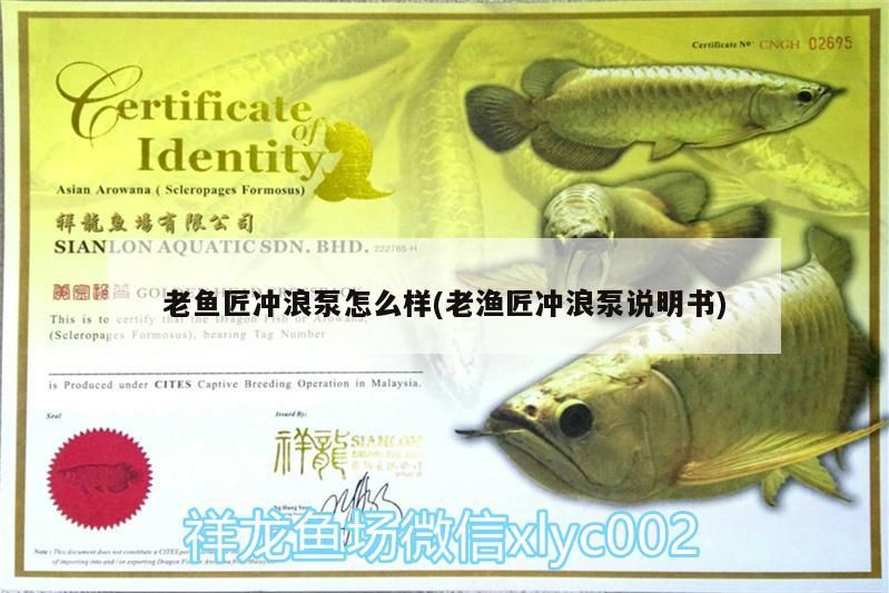 可麗愛魚缸過濾系統(tǒng)怎么樣（可麗愛魚缸過濾系統(tǒng)怎么樣啊）
