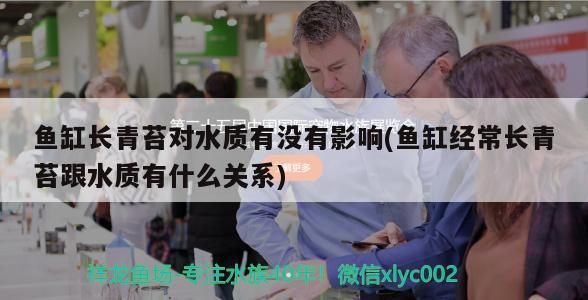 魚(yú)缸用增氧泵價(jià)格是多少:魚(yú)缸增氧機(jī)-xtrac增氧機(jī)-xtrac增氧機(jī) 魚(yú)缸長(zhǎng)青苔對(duì)水質(zhì)有沒(méi)有影響(魚(yú)缸經(jīng)常長(zhǎng)青苔跟水質(zhì)有什么關(guān)系) 金龍魚(yú)百科 魚(yú)缸長(zhǎng)青苔對(duì)水質(zhì)有沒(méi)有影響(魚(yú)缸經(jīng)常長(zhǎng)青苔跟水質(zhì)有什么關(guān)系) 魚(yú)缸長(zhǎng)青苔對(duì)水質(zhì)有沒(méi)有影響(魚(yú)缸經(jīng)常長(zhǎng)青苔跟水質(zhì)有什么關(guān)系) 金龍魚(yú)百科