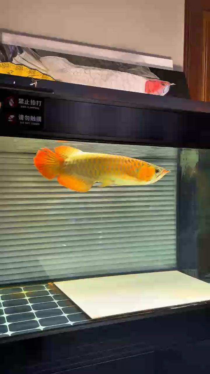 給時間沉淀
