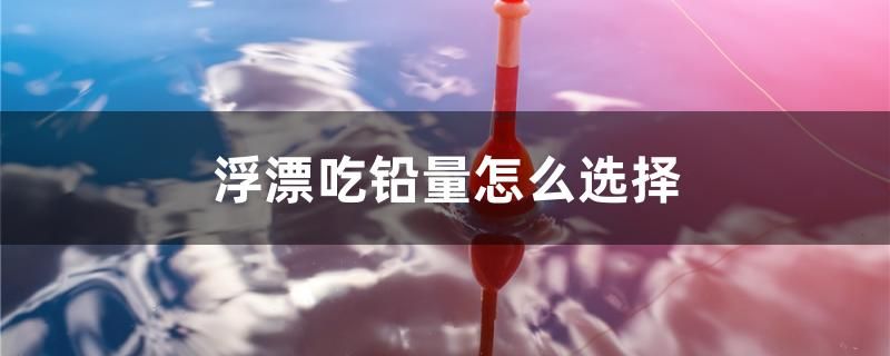 浮漂吃鉛量怎么選擇