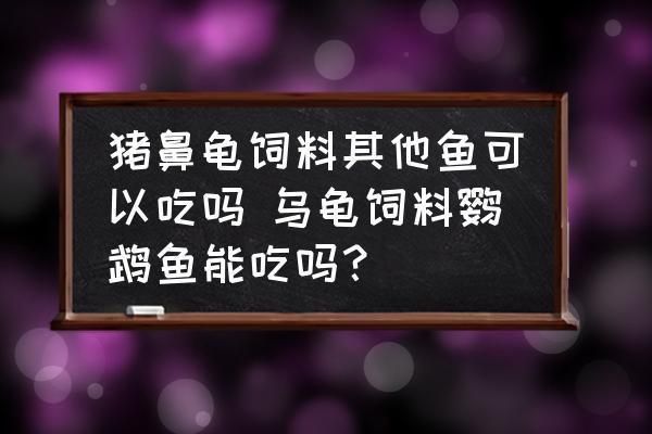 豬鼻龜的食物鸚鵡魚遲可以嗎：豬鼻龜吃鸚鵡魚嗎