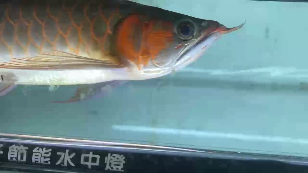 踩點