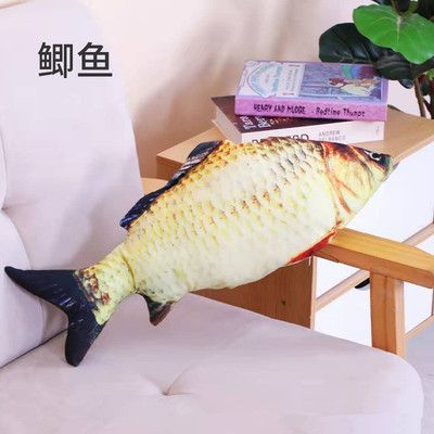 印尼紅龍魚價(jià)格多少錢一條：印尼紅龍魚價(jià)格