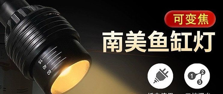 超白魚缸品牌十大排名榜（超白魚缸品牌十大排名榜圖片）