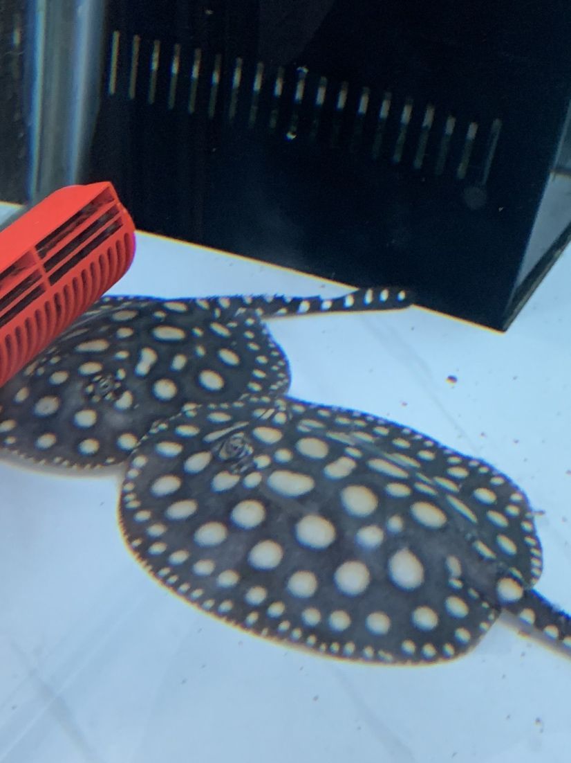 連云港魚缸清洗公司電話多少號碼（連云港魚缸清洗公司電話多少號碼啊）
