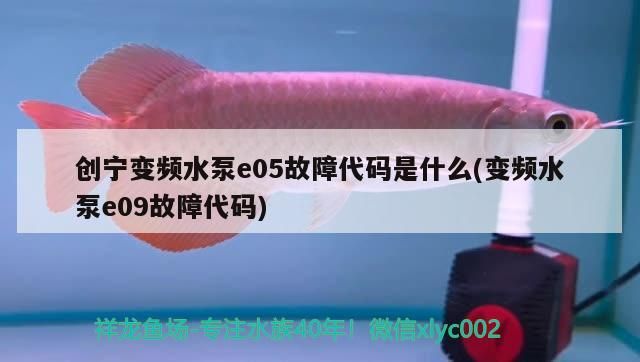 創寧變頻水泵e05故障代碼是什么(變頻水泵e09故障代碼)