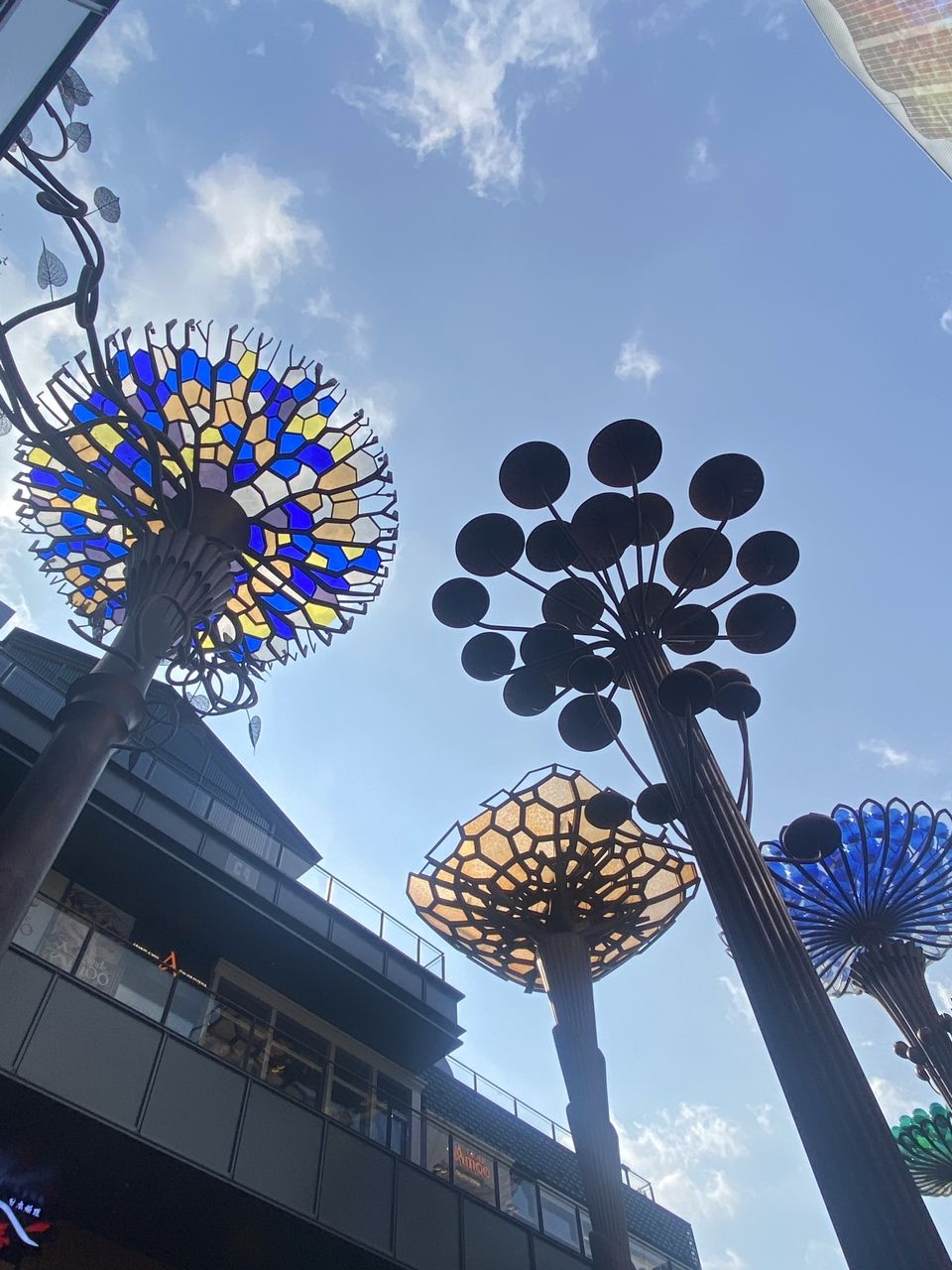 朵朵花開 朵朵花開 龍魚論壇