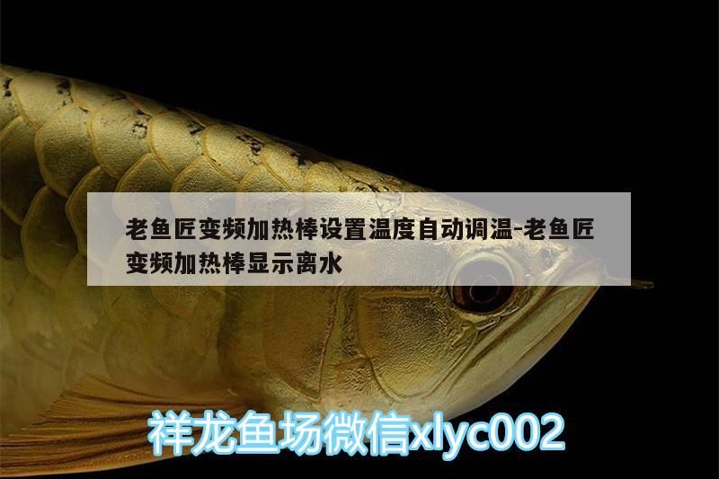 老魚匠變頻加熱棒設(shè)置溫度自動(dòng)調(diào)溫:老魚匠變頻加熱棒顯示離水