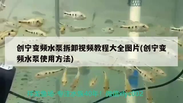 創寧變頻水泵拆卸視頻教程大全圖片(創寧變頻水泵使用方法)