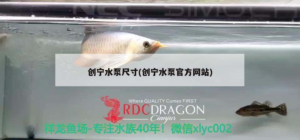 創寧水泵尺寸(創寧水泵官方網站)