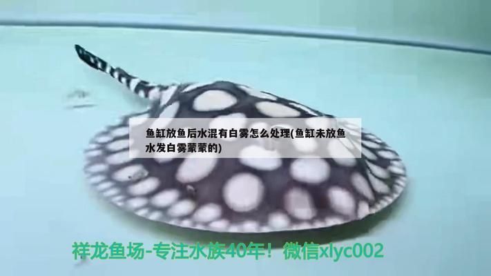 魚缸多長時間徹底清洗一次（魚缸多長時間徹底清洗一次比較好）