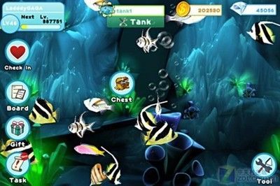 開水族館的游戲(開個水族館游戲) 水族館百科(水族館加盟) 第1張 開水族館的游戲(開個水族館游戲) 開水族館的游戲(開個水族館游戲) 水族館百科(水族館加盟) 第1張