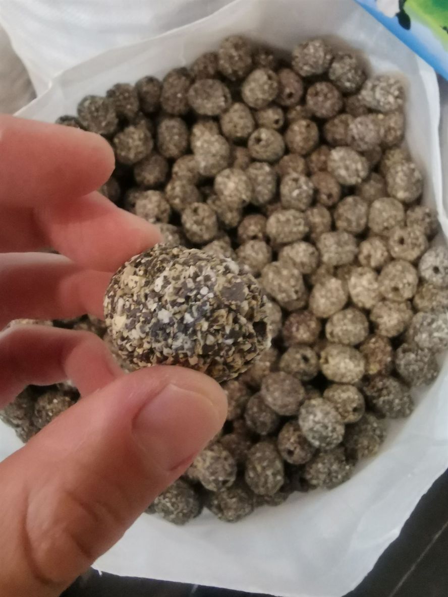 鐵嶺觀賞魚市場第一代博特瑪雅石特價(jià)處理買多了