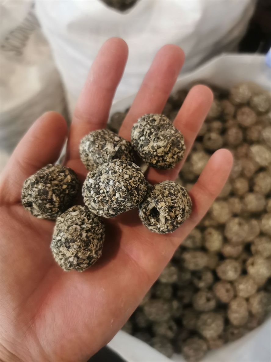 鐵嶺觀賞魚市場第一代博特瑪雅石特價(jià)處理買多了